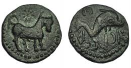 1045 - HISPANIA ANTIGUA. ASIDO. Semis. A/ Toro a der., encima estrella. R/ Delfín a der., encima creciente con punto, delante caduceo, debajo ´sdnbl. AE 6,83 g. 23,4 mm. I-158. ACIP-914. Pátina verde oscura. MBC/MBC+. Ex Vico, 3-3-1993, lote 35.