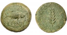 HISPANIA ANTIGUA. ILIPA. As. A/ Espiga, a los lados caduceos. R/ Sábalo a der., encima creciente entre dos estrellas, debajo ILIPENSE entre líneas. AE 33,52 g. 38, 3 mm. I-1530. ACIP-2332. Pátina verde rugosa. MBC-.