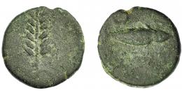 HISPANIA ANTIGUA. ILIPA. Cuadrante. A/ Espiga. R/ Arado. AE 3,2 g. 15,35 mm. I-1547. ACIP-2344. Pátina verde rugosa. BC. Ex Pliego, 19-5-2001.