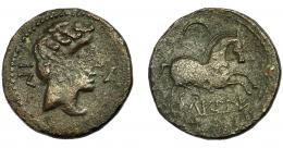 HISPANIA ANTIGUA. LAKINE. Mitad. A/ Cabeza masculina a der., delante delfín, detrás BaN. R/ Caballo con rienda suelta a der, debajo sobre línea LAKiNE. AE 3,48 g. 19,35 mm. I-1567. ACIP-1506. Vano en anv. MBC/MBC-. Muy rara. Ex Áureo, 21-1-1997, lote 219.