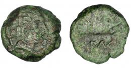 HISPANIA ANTIGUA. LAURO. Cuadrante. A/ Cabeza masculina a der., detrás cetro. R/ Prótomo de Pegaso a der., debajo LAURO. AE 2,36 g. 14,89 mm. I-1689 vte. ACIP-1369. Pátina verde. BC. Rarísima. Ex Áureo, 21-1-1997, lote 223. 