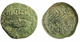 HISPANIA ANTIGUA. MURTIIS. As. A/ Sábalo a der., encima entre líneas MVRTI(L). R/ Espiga a der., encima (L AP) DE. AE36,39 g. 36,37 mm. I-1757 vte. ACIP-2355. Pátina verde rugosa. BC+. Muy rara. Compra privada Pliego (1993).