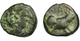 HISPANIA ANTIGUA. NABRISA. Cuadrante. A/ Cabeza masculina a der. R/ ¿Antílope? a der., encima NA. AE3,52 g. 16,61 mm. I-1768. ACIP-2637. Pátina oscura. BC. Rarísima. Ex Pliego, 20-12-1999.