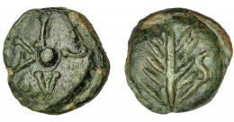 HISPANIA ANTIGUA. UGIA. Semis. A/ Espiga, a der. S. R/ Disco, alrededor VGIA. Ae 7,34 g. 19,94 mm. I-2478. ACIP-2649. Pátina verde. MBC. Muy rara. Ex Hervera, 28-5-2003.