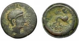 HISPANIA ANTIGUA. URSO. As. A/ Cabeza masculina diademada a der., delante (VR)SONE. R/ Esfinge a der., debajo L AP DE(C). AE 34,60 g. 34,32 mm. I-2501. ACIP-2323. Pátina oscura. MBC-/BC+. Rara. Ex Áureo, 26-4-1994, lote 522.