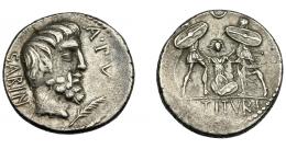 REPÚBLICA ROMANA. TITURIA. Denario. Roma (89 a.C.). A/ Cabeza del rey Tacio a der, delante palma y ley. A PV; detrás SABIN. AR 6,67 g. 18,35 mm. CRAW-344-1c. FFC-1155. Fina grieta. MBC.