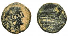 REPÚBLICA ROMANA. ACUÑACIONES ANÓNIMAS. Cuadrante. Roma (91 a.C.). A/ Cabeza de Hércules a der. R/ Proa a der., debajo ROMA. AE 3,87 g. 15,93 mm. CRAW-339/4c. BC/BC+.
