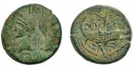 IMPERIO ROMANO. PERIODO DE JULIO CÉSAR A AUGUSTO. AGRIPA Y AUGUSTO. As. Colonia Nemausus (10-14 d.C.). A/ Bustos opuestos de Agripa y Augusto; IMP/DIVI (F). R/ Cocodrilo a der. encadenado a palmera; COL NEM. RIC-155. Pátina verde. MBC/MBC-. 