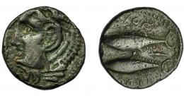 HISPANIA ANTIGUA. GADIR. Mitad. A/ Cabeza de Melkart a izq. R/ Dos atunes a izq., en medio creciente, glóbulo y aleph. AE 4,43 g. 24 mm. ACIP-688. I-1347. Pátina verde oscuro. MBC-/MBC. Escasa.