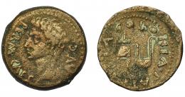 HISPANIA ANTIGUA. COLONIA PATRICIA. Augusto. Semis. A/ Cabeza a izq.; PERM CAES AVG. R/ Ápex y símpulo; COLONIA PATRICIA. AE 5,63 g. 21,7 mm. I-1992. APRH-130a. ACIP-3358. BC+/MBC-. 
