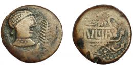 HISPANIA ANTIGUA. ULIA. As. A/ Cabeza femenina con moño y collar a der., delante palma y debajo creciente. R/ VLIA en cartela formada por ramas de vid. AE 21,86 g. 32,3mm. I-2490. ACIP-2319. Arte degenerado. BC+. Escasa.