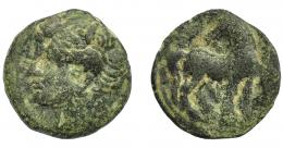 GRECIA ANTIGUA. ZEUGITANIA. Cartago. Calco (siglo III-II a.C.). A/ Cabeza de Tanit a izq. R/ Caballo a der. con cabeza vuelta. AE 6,28 g. 21,9 mm.  COP-6518. BC+.