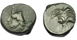 GRECIA ANTIGUA. ZEUGITANIA. Cartago. AE (350-320 a.C.). A/ Palmera con dos racimos de dátiles. R/ Doble acuñación con cabeza de caballo a der. y Tanit a izq. AE 4,83 g. 17,17 mm. COP-105 vte. BC+/MBC-.