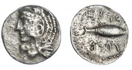 121 - HISPANIA ANTIGUA. GADIR. Hemidracma. A/ Cabeza de Melkart con leonté a izq. R/ Atún a der.; encima y debajo ley. fenicia mp'l/'gdr. AR 1,49 g. 12,7 mm. I-1308. ACIP-634. Porosidades. MBC.