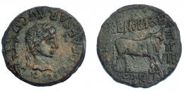 62 - HISPANIA ANTIGUA. CALAGURRIS. Augusto. As. A/ Cabeza laureada a der.; (IM)P CAESAR AVGVSTVS P (P). R/ Toro a der., delante II/VIR; (M CAL I)-(C) SEMP BARBA (Q B)AEB FLAVO. AE 12,93 g. 27 mm. I-422. APRH-447. ACIP-3127. Pátina oscura. MBC+.