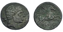 3008 - HISPANIA ANTIGUA. BILBILIS. As. A/ Cabeza masculina a der., delante delfín, detrás signo ibérico S. R/ Jinete lancero a der., debajo, sobre línea, BiLBiLIS. e 13,94 G. 27,0 MM. I-254. ACIP-1567. Pátina oscura. MBC-/MBC. Escasa.