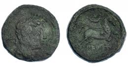 3018 - HISPANIA ANTIGUA. BILBILIS. Semis. A/ Cabeza masculina a der., delante delfín, detrás signo ibérico S. R/ Caballo con rienda suelta a der., encima creciente con glóbulo, debajo sobre línea BiLBiLIS. AE 7,41 g. 21,7 mm. I-267. ACIP-1578. Pátina oscura rugosa. BC+. Muy escasa.