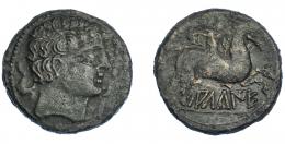 3021 - HISPANIA ANTIGUA. SALTUIE. Unidad. A/ Cabeza masculina a der., alrededor tres delfines. R/ Jinete con palma y clámide a der.; debajo sobre línea SALTuIE. AE 10,41 g. 26,1 mm. I-306. ACIP-1516. Pátina oscura. MBC/MBC-.