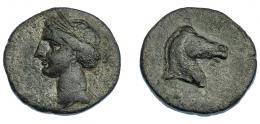 3024 - HISPANIA ANTIGUA. EMISIONES HISPANO-CARTAGINESAS. Unidad. A/ Cabeza de Tanit a izq. R/ Cabeza de caballo a der., debajo del abarbilla ¿iod? AE 8,54 g. 23,5 mm. I-580? ACIP-512? MBC-. Escasa.