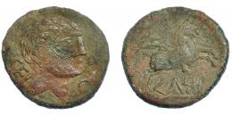 3051 - HISPANIA ANTIGUA. KELSE. As. A/ Cabeza masculina a der., delante dos delfines, detrás CEL. R/ Jinete con palma a der., debajo KeLSE. AE 19,19 g. 33 mm. I-774. ACIP-1490. Pátina verde rugosa. BC+.