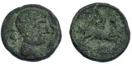 3060 - HISPANIA ANTIGUA. ILTUKOITE. Unidad. A/ Cabeza masculina con cuello vestido a der., alrededor tres delfines. R/ Jiente con palma a der.; ILTuKoITe. AE 17,26 g. 29,3 mm. I-1428. ACIP-1502. Pátina verde muy rugosa. MBC/MBC-. Escasa.