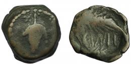 HISPANIA ANTIGUA. ACINIPO. As. A/ Racimo, estrella a izq. R/ Dos espigas a der., en medio ACINIPO. AE 11,23 g. 23,3 mm. I-48. ACIP-2449. Pátina oscura. BC+. Rara.