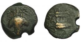 HISPANIA ANTIGUA. ACINIPO. As. A/ Racimo entre dos estrellas. R/ Dos espigas a der., en mecio ACI(NIPO). AE 6,78 g. 21,7 mm. I-49. ACIP-2454. Pátina oscura. Cospel irregular. BC+. Rara.
