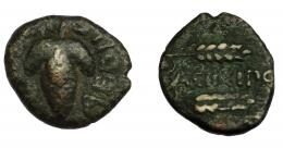 HISPANIA ANTIGUA. ACINIPO. As. A/ Racimo; (L FOLCE) AEDILE, estrellas a izq. R/ Dos espigas; ACINIPO. AE 4,16 g. 18,7 mm. I-59. ACIP-2455. Pátina oscura. MBC-. Rara.