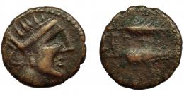 HISPANIA ANTIGUA. CERIT. Semis. A/ Cabeza femenina radiada a der. R/ Dos espigas, en medio CERIT. AE 4,24 g. 18,9 mm. I-823. ACIP-2413. MBC/BC+. Muy escasa.