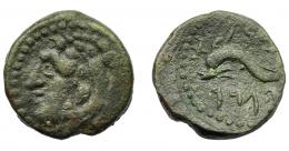 HISPANIA ANTIGUA. GADIR. Cuarto. A/ Cabeza de Melkart con leonté a izq., detrás clava. R/ Delfín con tridente; p'lt/hgdr. AE 3 g. 16 mm. I-1353. ACIP-681. Pátina verde. MBC-/MBC.