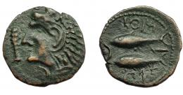 HISPANIA ANTIGUA. GADIR. Mitad. A/ Cabeza de Melkart a izq. R/ Dos atunes a izq., en medio creciente con punto y aleph; mp'l/ ´gdr. AE 2,97 g. 19 mm. I-1347. ACIP- 688. Pátina verde oscuro. MBC+.