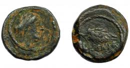 HISPANIA ANTIGUA. ILIPA. Semis. A/ Cabeza femenina con tocado a der. R/ Palma a der., debajo ILIPENSE. AE 7,37 g. 20,5 mm. I-1543. ACIP-2342. Pátina verde oscuro. BC+. Rara.