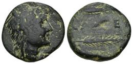 HISPANIA ANTIGUA. CALLET. As. A/ Cabeza con leonté a der. R/ Dos espigas a der., en medio CA(LL)ET. AE 16,64 g. 24,7 mm. I-433. ACIP-2411. Pátina oscura. BC+.