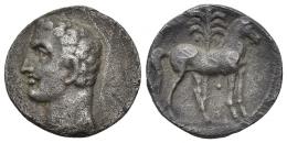 HISPANIA ANTIGUA. EMISIONES HISPANO-CARTAGINESAS. Shekel. A/ Cabeza masculina a izq. R/ Cabalo parado delante de palmera, glóbulo debajo del vientre. AR 6,71 g. 20,5 mm. I-537. ACIP-614. Raya en anv. y golpes en rev. MBC-/MBC.