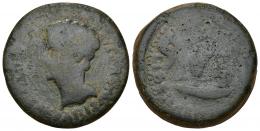 HISPANIA ANTIGUA. EBORA. Augusto. Dupondio. A/ Cabeza a izq.; (PERMISSV) CAESARIS AVGVSTI. R/ Instrumentos sacerdotales; LIBERALI(TATIS IVL EBOR). AE 24,13 g. 32,3 mm. I-900. ACIP-3417. Múltiples rayitas. Pátina verde oscuro. RC. Ex subasta Áureo 120.1 (2000), lote 216.