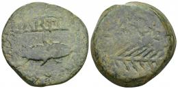 HISPANIA ANTIGUA. MURTILIS. As. A/ Sábalo a der., encima entre líneas MVRTI(L). R/ Espiga a der., encima (L AP). DE. AE 36,39 g. 36,37 mm. I-1757 vte. ACIP-2355. Pátina verde rugosa. BC+. Muy rara. Compra privada Pliego (1993).