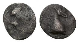 HISPANIA ANTIGUA. ARSE-SAGUNTO. Hemióbolo. A/ Cabeza femenina a der. R/ Cabeza de caballo, alrededor restos de ley. ibérica ARSEETaRKiTeRTaR. AR 0,20 g. 8,7 mm. ACIP-1938. CC-1062, mismo ejemplar. RC/MBC. Rara. Ex colección Cores.