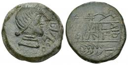 HISPANIA ANTIGUA. OBULCO. Cabeza femenina a der., delante OBVLCO. R/ Arado y espiga a izq., en medio entre líneas, L AIMIL/M IVNI/AID. AE 14,1 g. 27,8 mm. I-1807. ACIP-2222. Pátina verde. MBC+.