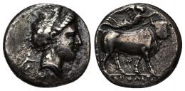 GRECIA ANTIGUA. CAMPANIA. Neapolis. Didracma (325-241 a.C.). A/ Cabeza de ninfa a der., detrás Hécate corriendo con antorcha, debajo ley. (XAPI) R/ Toro androsopo a der. coronado por Niké, en exergo (NE)OPOLITWN. AR 7,05 g. 20 mm. COP-437. SBG-299 vte. Finas rayas. MBC-. Ex colección Guadán, 1314.