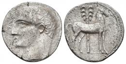 HISPANIA ANTIGUA. EMISIONES HISPANO-CARTAGINESAS. Shekel. A/ Cabeza masculina a izq. R/ Caballo parado a der. delante de palmera. AR 6,75 g. 21,6 mm. I-547. ACIP-606. Golpecitos y porosidades. MBC/MBC+.