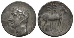 HISPANIA ANTIGUA. EMISIONES HISPANO-CARTAGINESAS. Shekel. A/ Cabeza masculina a izq. R/ Caballo parado delante de palmera, entre las patasglóbulo. AR 7,18 g. 21,6 mm. I-537. ACIP-614. Pátina gris. MBC.