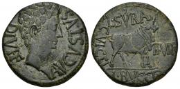 HISPANIA ANTIGUA. CELSA. Augusto. As. A/ Cabeza a der.; AVGVSTVS DIVI F. R/ Toro a der., delante II VIR, detrás C V I CEL, L SVRA-L BVCCO. AE 14,96 g. 29,2 mm. I-808. ACIP-3162. Raya en rev. Pátina verde. MBC/MBC+.