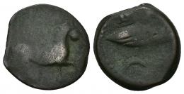 10 - HISPANIA ANTIGUA. BAILO. Semis. A/ Caballo avanzando a der. R/ Atún a izq., encima B(AILO), debajo creciente. I-189. ACIP-926. AE 3,88 g. 17,9 mm. BC-.
