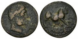 30 - HISPANIA ANTIGUA. KASTILO-CASTULO. Semis. A/ Cabeza masculina diademada a der.; (M P)OP ILL(M F). R/ Toro a der.; P COESTA RE F (poco visible). AE 9,01 g. 22 mm. I-731. ACIP-2161. BC+/MBC-. Rara.
