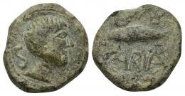 40 - HISPANIA ANTIGUA. CUMBARIA. Semis. A/ Cabeza masculina a der., detrás S. R/ Atún a izq., (CVN)B/ARIA. AE 6,74 g. 19,8 mm. I-880. ACIP-2621. Pátina verde rugosa. MBC/MBC-.