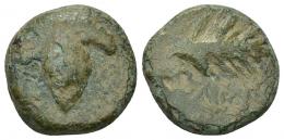 7 - HISPANIA ANTIGUA. BAICIPO. Semis. A/ Racimo de uvas, a izq. S. R/ Espiga a der., debajo BAIC(IP). AE 6,62 g. 18,7 mm. I-183. ACIP-2507. Pátina verde. BC+. Compra privada Pliego (1994).