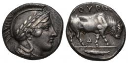 19 - GRECIA ANTIGUA. LUCANIA. THORION. Estátera (c. 425-400 a.C.). A/ Cabeza de Atenea con casco y laureada a der. R/ Toro a der., encima QOURIWN, entre las patas D, en exergo pez. AR 7,96 g. 18,4 mm. COP-1414. SBG-435 vte. Golpecito en anv. Pátina gris. MBC+. Ex subasta Jesús Vico 110 (9-3-2006), lote 85.