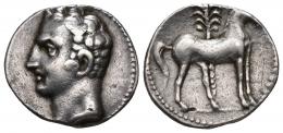 3 - HISPANIA ANTIGUA. EMISIONES HISPANO-CARTAGINESAS. Siclo. A/ Cabeza masculina a izq. R/ Caballo delante de palmera parado a der. AR 7,30 g. 20,2 mm. I-535. ACIP-603. Rayita en rev. MBC.