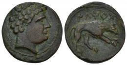 7 - HISPANIA ANTIGUA. ILTIRTA. As. A/ Cabeza masculina con collar a der. R/ Loba a der., encima ILTiRTa. AE 9,77 g. 24,4 mm. I-1476. ACIP-1246. Pátina roja con tonos verdes. MBC+/MBC. Rara.