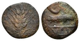 106 - HISPANIA ANTIGUA. ITUCI. Cuarto. A/ Espiga. R/ Atún a der., encima creciente, debajo entre líneas (IT)VCI. AE 1,89 g. 14,8 mm. I-1609. ACIP-851. BC+/BC. Muy rara.